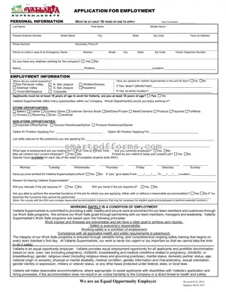 Blank Vallarta Market Job Application PDF Template