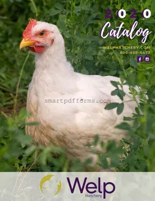 Blank Welp hatchery PDF Template