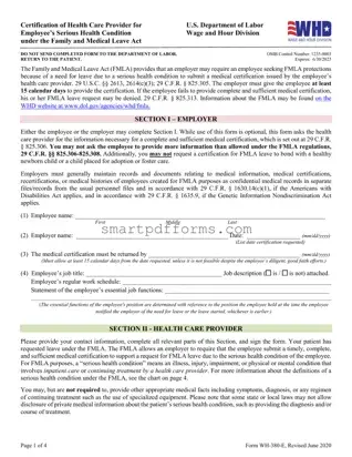 Blank Wh 380 E PDF Template