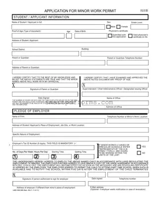 Blank Work Permit PDF Template