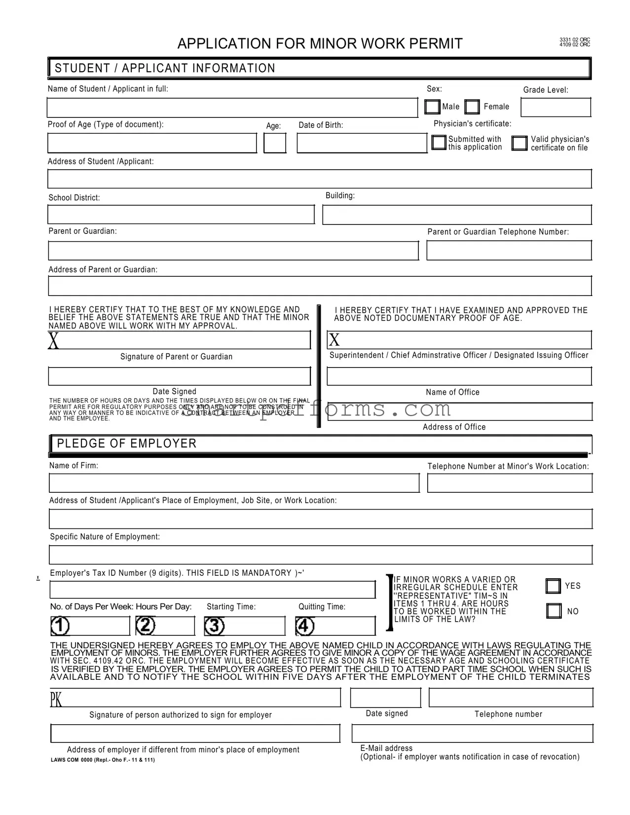 Blank Work Permit PDF Template