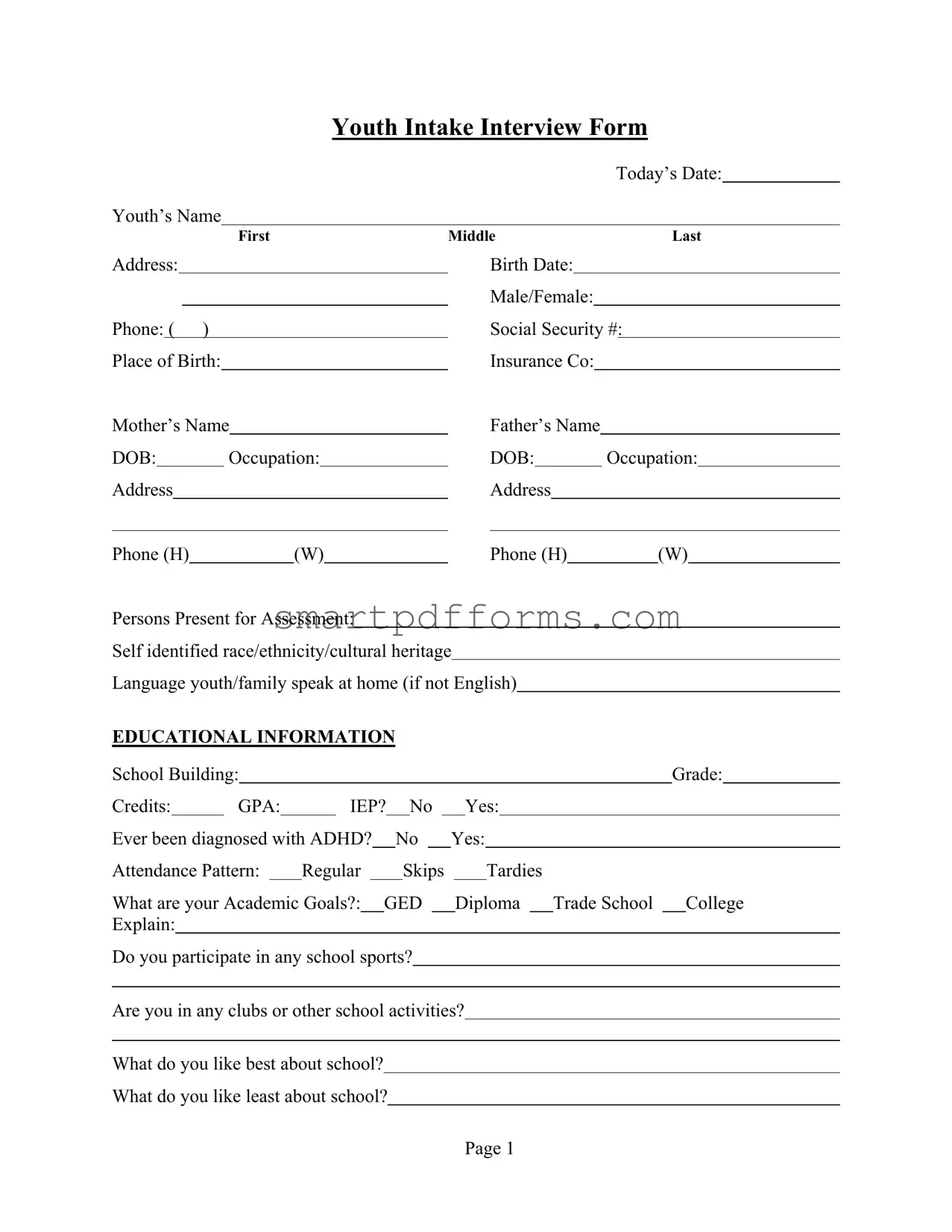 Blank Youth Intake Interview PDF Template